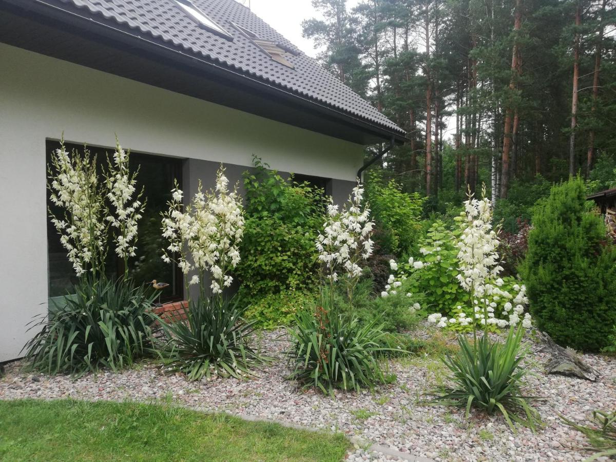 Cudodomek Spa W Mrozach Wielkich Kolo Elku Ngoại thất bức ảnh